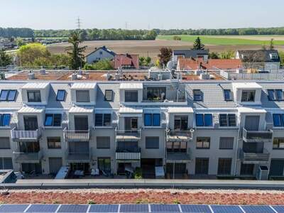 Terrassenwohnung kaufen in 1220 Wien (Bild 1)
