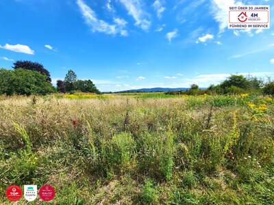 Grundstück kaufen in 2700 Wr. Neustadt (Bild 4)