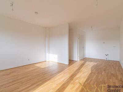 Terrassenwohnung kaufen in 3100 St. Pölten (Bild 2)