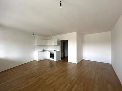 Wohnung mieten in 1010 Wien
