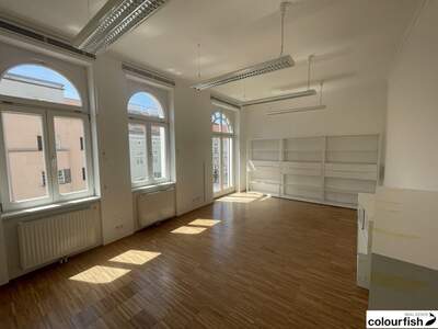 Gewerbeobjekt mieten in 1190 Wien (Bild 3)