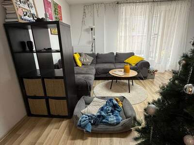 Terrassenwohnung kaufen in 1100 Wien (Bild 3)