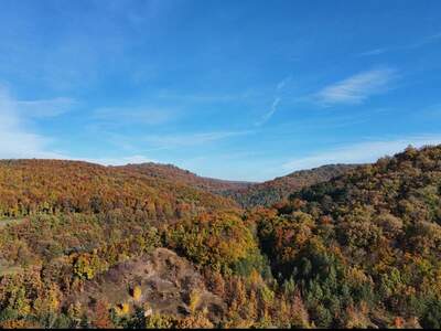 Grundstück kaufen in 2534 Alland