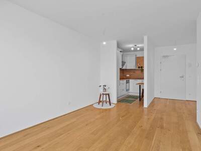 Terrassenwohnung kaufen in 1220 Wien (Bild 4)