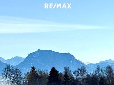 Grundstück kaufen in 4841 Ungenach (Bild 5)