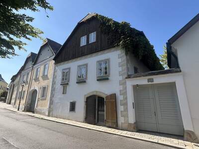 Haus kaufen in 1190 Wien