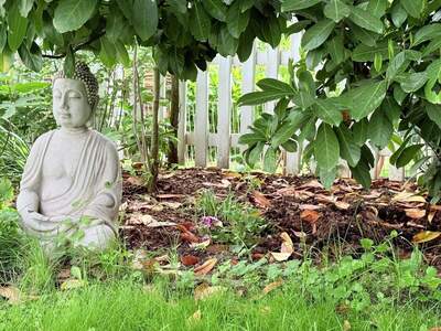 Haus kaufen in 1230 Wien