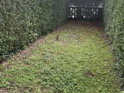 Wohnung mieten in 8020 Graz (Bild 5)