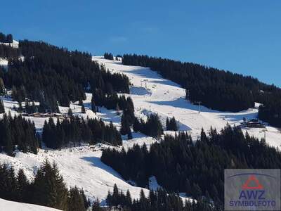 Haus kaufen in 6353 Going