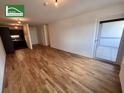 Terrassenwohnung mieten in 1100 Wien (Bild 2)