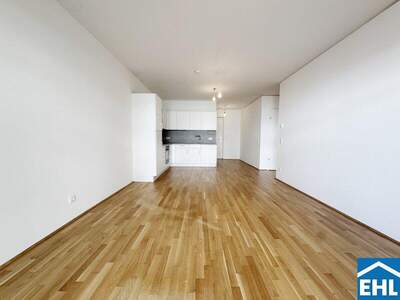 Terrassenwohnung mieten in 1020 Wien (Bild 2)