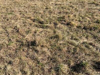 Grundstück kaufen in 2231 Strasshof (Bild 2)