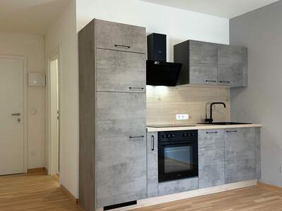 Altbauwohnung mieten in 4552 Wartberg (Bild 1)