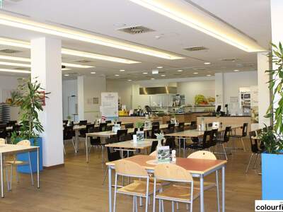 Gewerbeobjekt mieten in 1230 Wien (Bild 5)