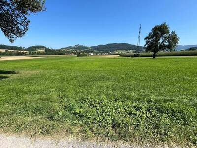 Gewerbeobjekt kaufen in 3241 Kirnberg