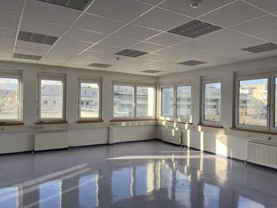 Gewerbeobjekt mieten in 2351 Wiener Neudorf (Bild 1)