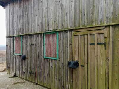 Gewerbeobjekt provisionsfrei mieten in 3752 Walkenstein