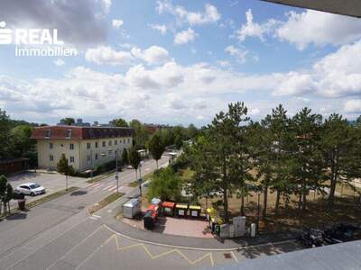 Terrassenwohnung mieten in 2361 Laxenburg (Bild 4)