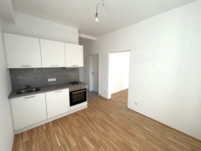 Altbauwohnung mieten in 4040 Linz (Bild 2)