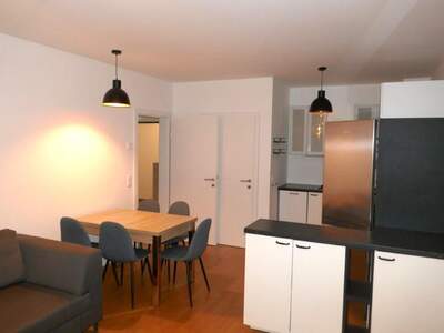 Terrassenwohnung mieten in 2700 Wr. Neustadt (Bild 1)