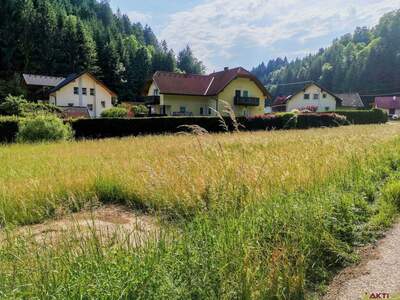 Grundstück kaufen in 9433 Schönweg (Bild 5)