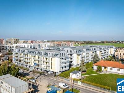 Wohnung kaufen in 1220 Wien (Bild 5)