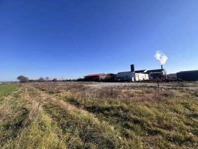 Gewerbeobjekt kaufen in 8430 Kaindorf (Bild 3)