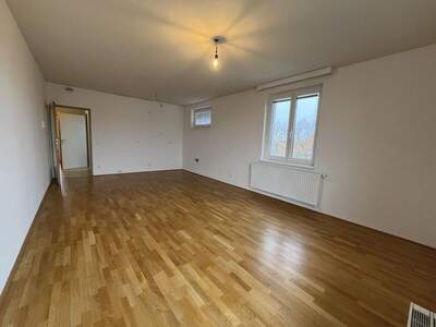 Terrassenwohnung mieten in 2232 Deutsch (Bild 5)