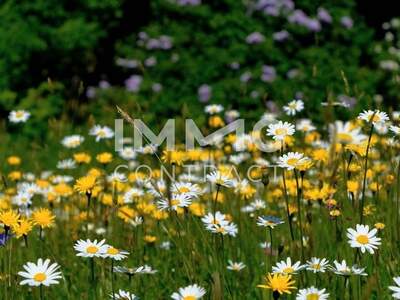 Wohnung kaufen in 4030 Linz