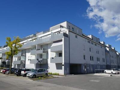 Terrassenwohnung mieten in 2700 Wr. Neustadt (Bild 2)