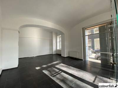 Gewerbeobjekt mieten in 1020 Wien (Bild 4)