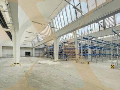 Halle / Lager / Produktion mieten in 3133 Traismauer