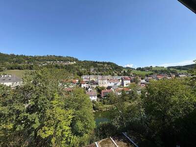 Wohnung kaufen in 3340 Waidhofen