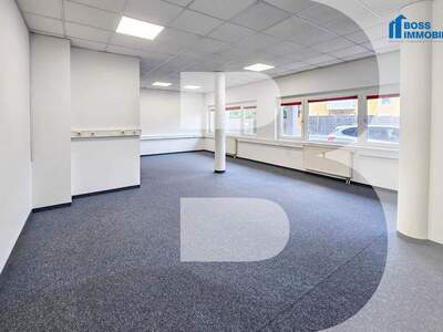 Gewerbeobjekt mieten in 4050 Traun