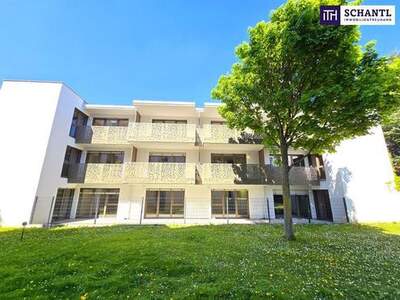 Wohnung mieten in 1230 Wien