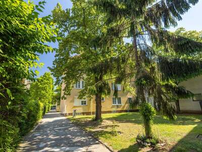 Wohnung mieten in 2320 Schwechat