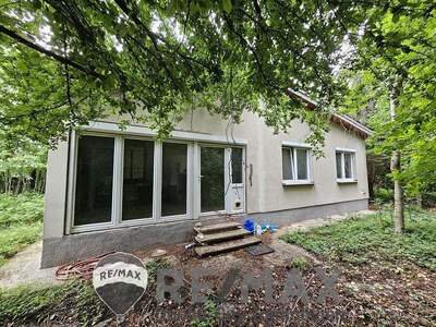 Einfamilienhaus kaufen in 2440 Mitterndorf (Bild 1)