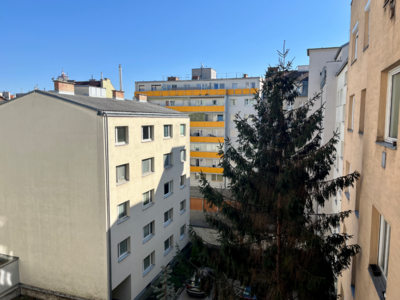 Wohnung mieten in 1100 Wien (Bild 3)