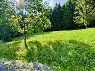 Grundstück kaufen in 8962 Gröbming (Bild 5)