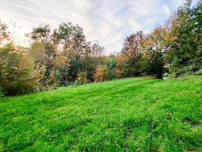 Grundstück kaufen in 4650 Lambach (Bild 1)