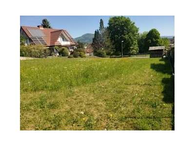 Grundstück provisionsfrei kaufen in 8160 Weiz