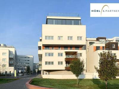 Immobilie mieten in 1220 Wien (Bild 3)