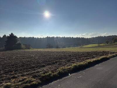 Grundstück kaufen in 8321 St. Margarethen