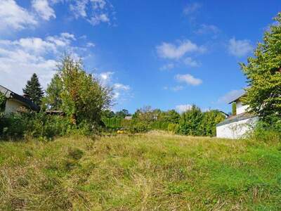 Grundstück kaufen in 3012 Wolfsgraben (Bild 2)