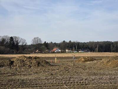 Grundstück kaufen in 8483 Deutsch Goritz (Bild 4)