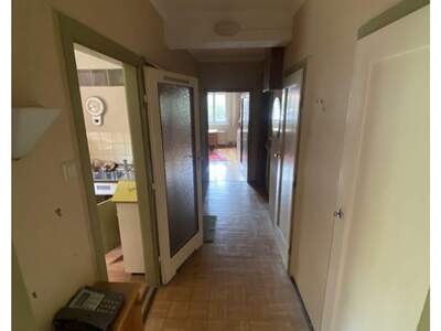 Altbauwohnung kaufen in 1230 Wien (Bild 1)