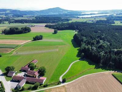 Haus kaufen in 5163 Palting