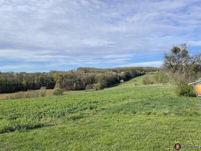 Grundstück kaufen in 7540 Kleinmürbisch