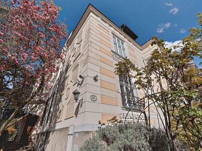 Chalet kaufen in 1190 Wien (Bild 3)