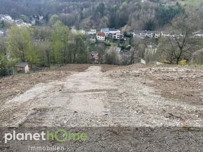 Grundstück kaufen in 2391 Kaltenleutgeben (Bild 3)